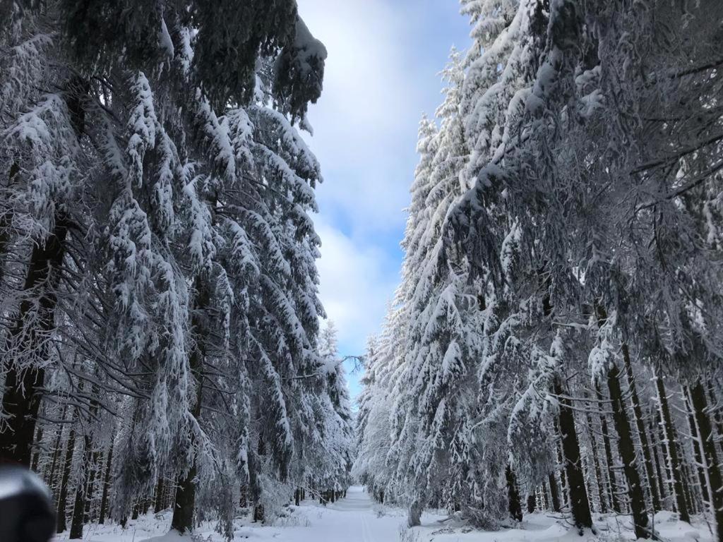 Ferienwohnung Wolkenplatz Winterberg Dış mekan fotoğraf