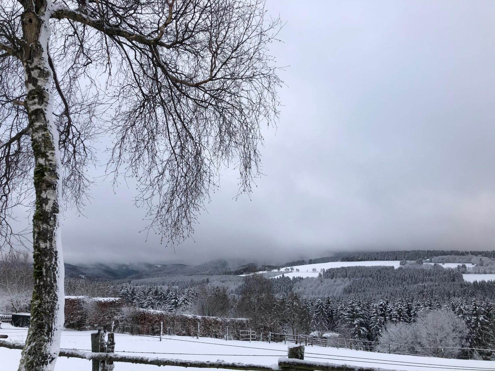 Ferienwohnung Wolkenplatz Winterberg Dış mekan fotoğraf