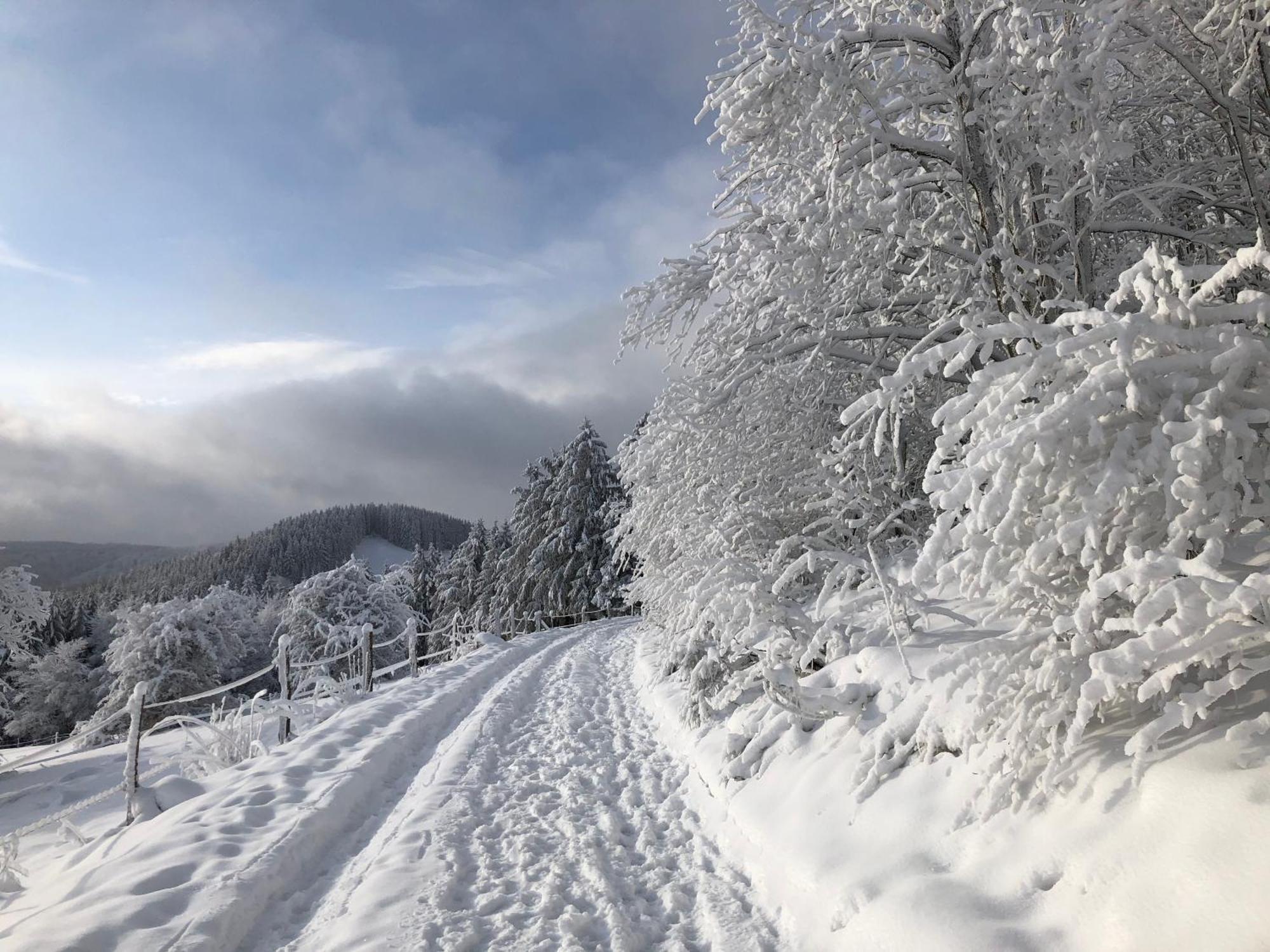 Ferienwohnung Wolkenplatz Winterberg Dış mekan fotoğraf