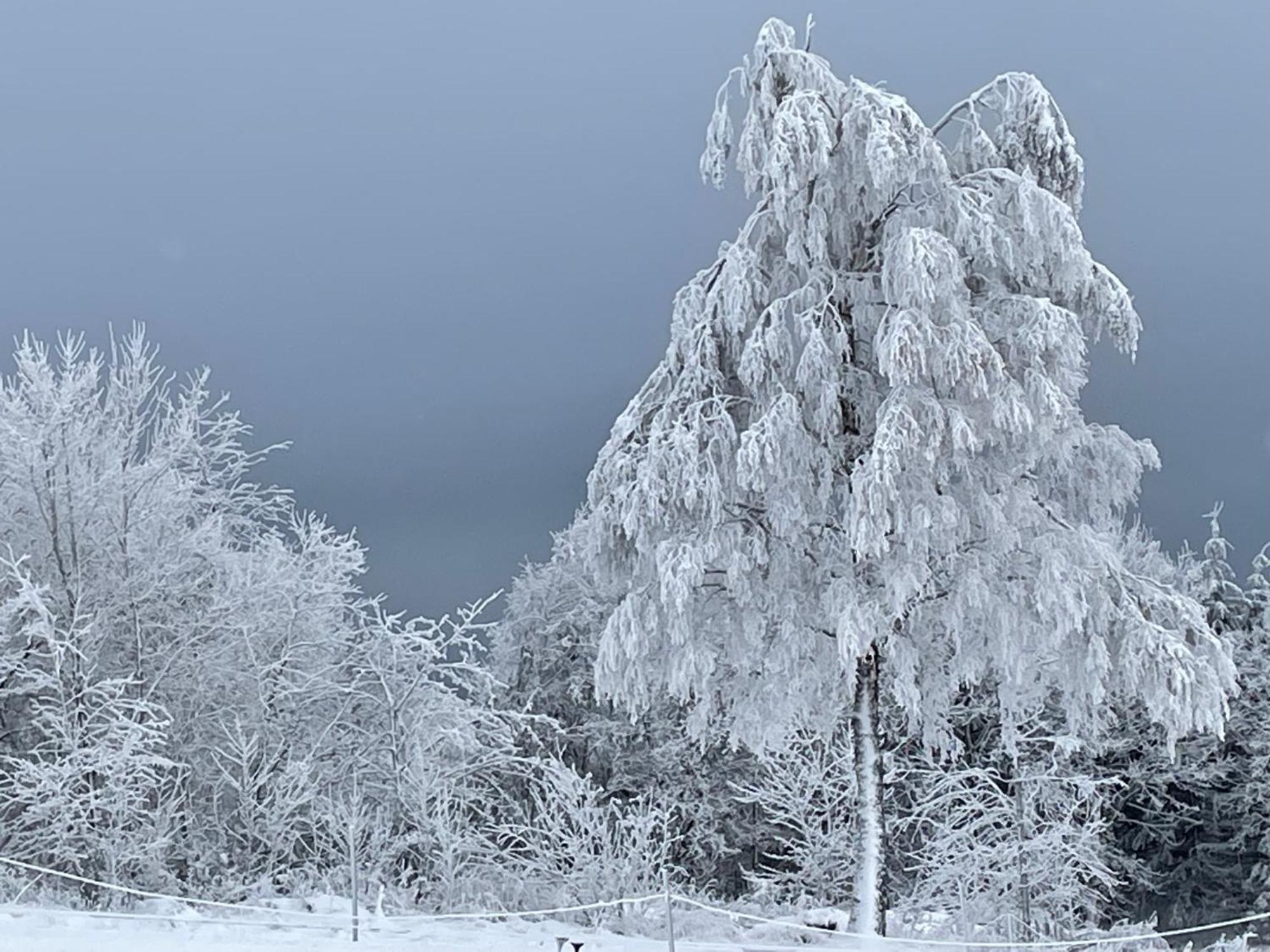 Ferienwohnung Wolkenplatz Winterberg Dış mekan fotoğraf