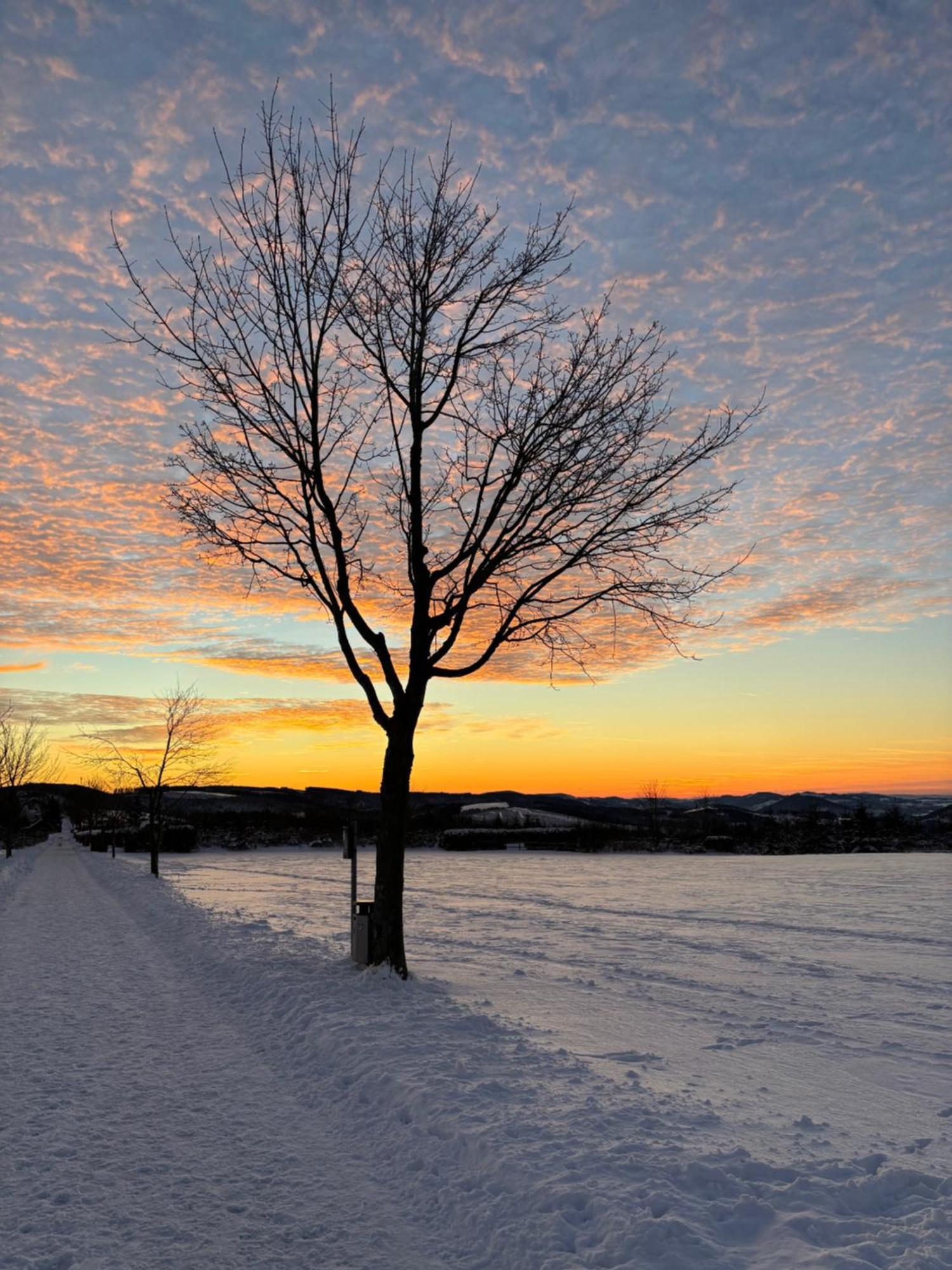 Ferienwohnung Wolkenplatz Winterberg Dış mekan fotoğraf