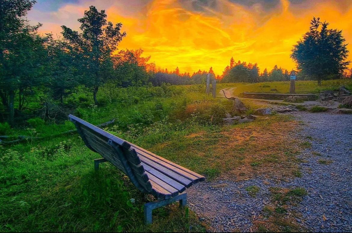 Ferienwohnung Wolkenplatz Winterberg Dış mekan fotoğraf