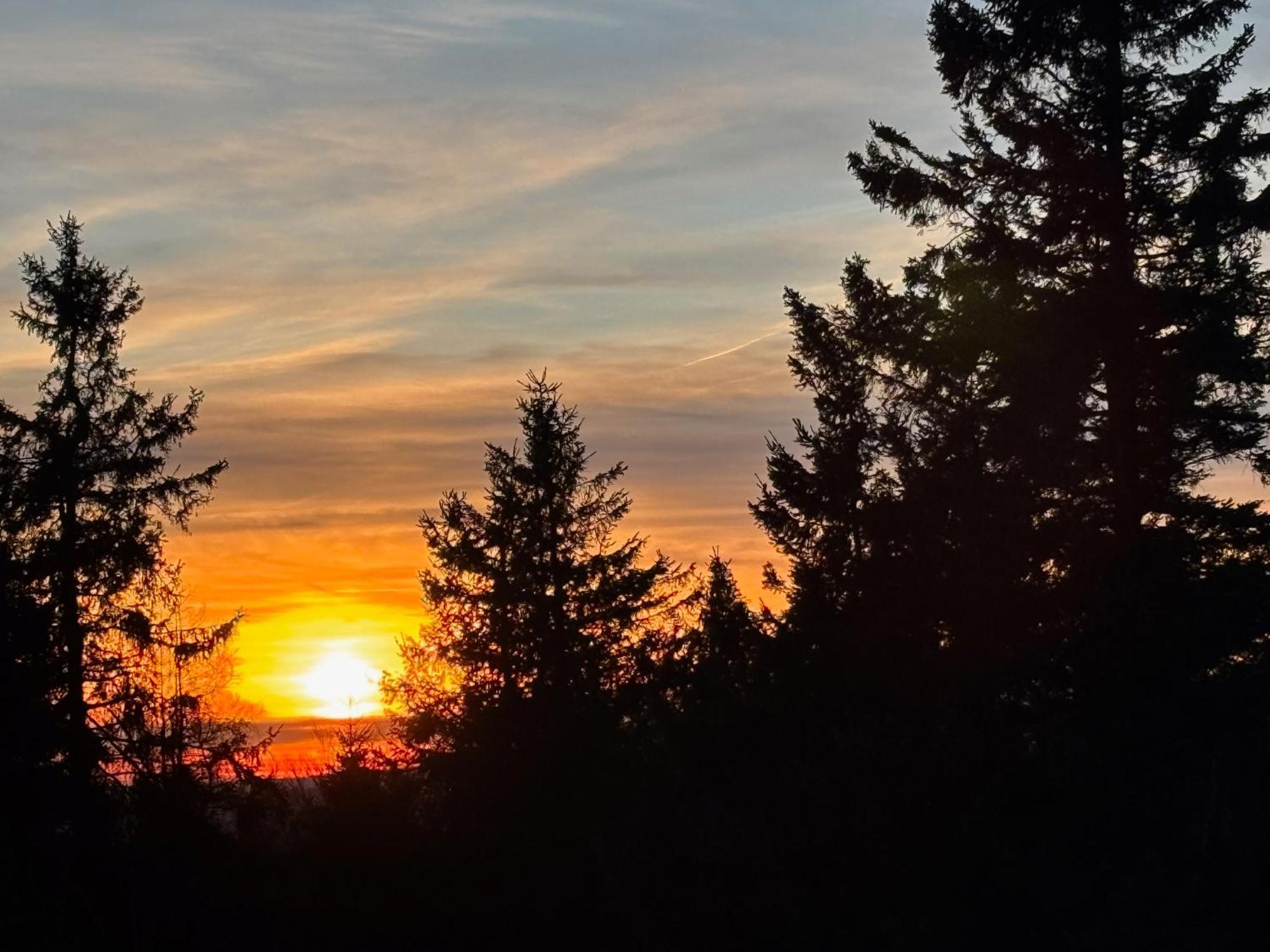 Ferienwohnung Wolkenplatz Winterberg Dış mekan fotoğraf